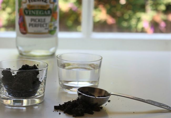 Tester le PH du sol avec du vinaigre blanc