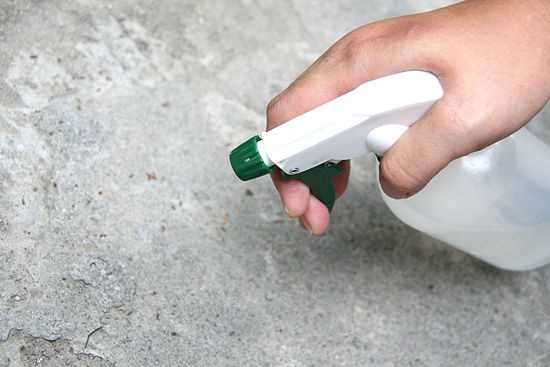 utiliser vinaigre contre fourmi