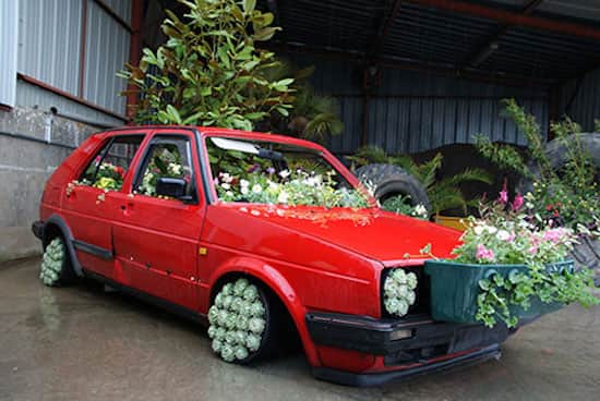 Voiture avec des plantes &agrave; l'int&eacute;rieur