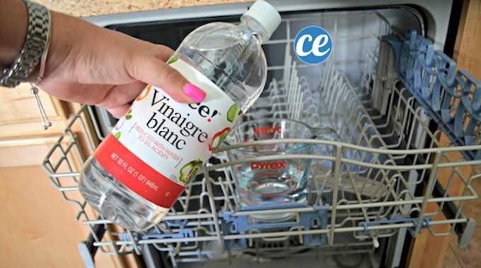 Comment nettoyer le lave-vaisselle ?Boutique en ligne Ecosplendo