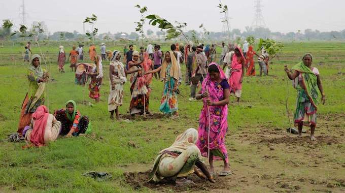 50 Millions d'Arbres Plantés En 1 Seule Journée. L'Inde Bat un Record du Monde Pour la Planète.