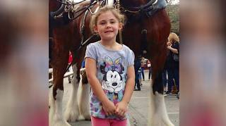 petite fille qui pose devant un cheval qui sourit