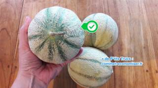 comment-choisir-un-bon-melon-mur