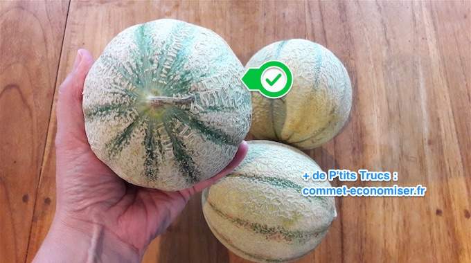 4 Astuces Pour Choisir un Melon Délicieux à Tous les Coups.