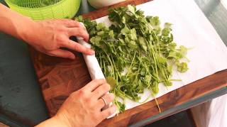 Comment Conserver Vos Herbes Aromatiques Plus Longtemps