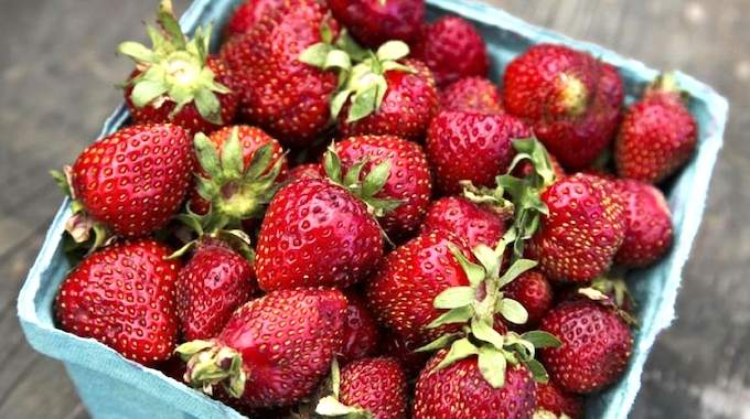 4 astuces infaillibles pour conserver les fraises plus longtemps