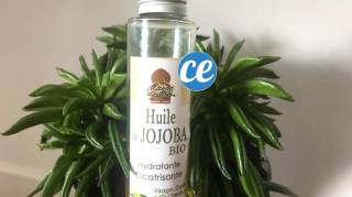 comment bien utiliser l'huile de jojoba