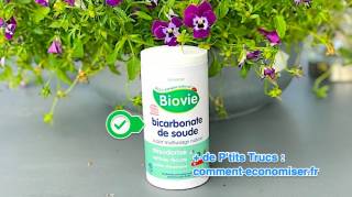 le déodorant naturel efficace avec du bicarbonate de soude