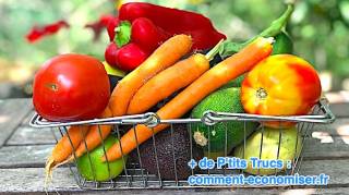 la liste des fruits et des legumes qui contiennent le moins de pesticides