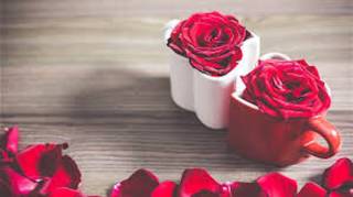 Saint-Valentin : 5 Idées pour une Journée sous le Signe de l'Amour.