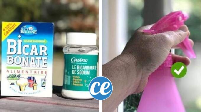 Top 10 des Astuces De La Semaine : Fautes de Français, Bienfaits de l'Huile de Ricin, Cheveux Brillants