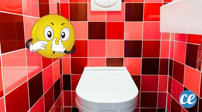 Comment Éradiquer l'Odeur d'Urine Dans Les WC (Et Que Ça Sente Bon Le Propre).
