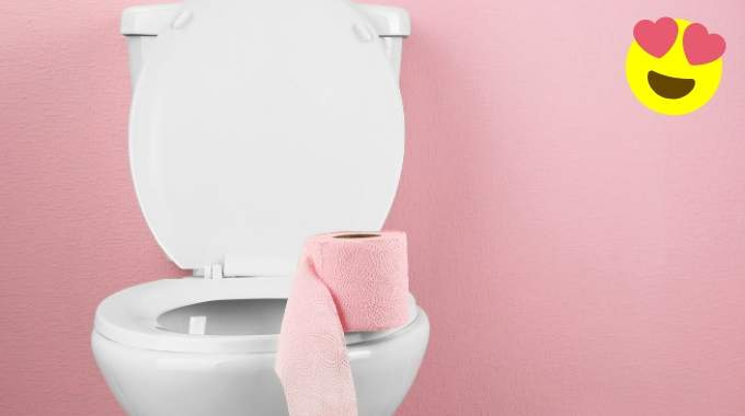 10 Astuces Pour Des WC Toujours Impeccables Qui Sentent Bon Le Propre.