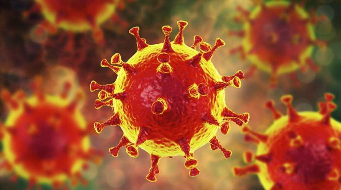 10 Trucs Contre le Coronavirus Que Tout le Monde Devrait Connaître.