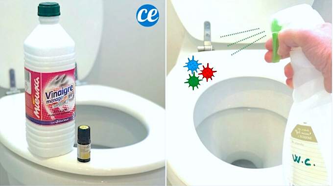 COVID-19 : Comment Désinfecter les WC Avec du Vinaigre Blanc.