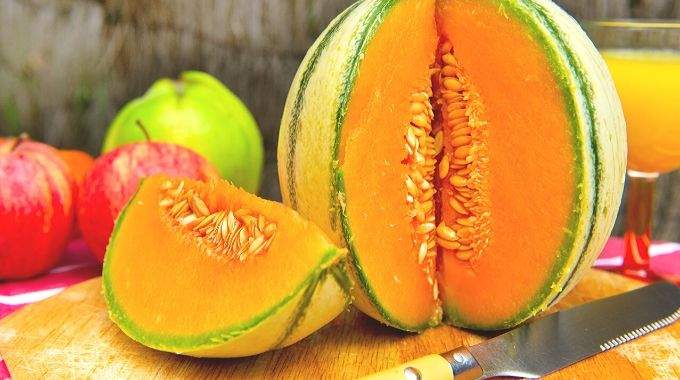 10 Astuces Pour Faire Pousser de Beaux Melons.