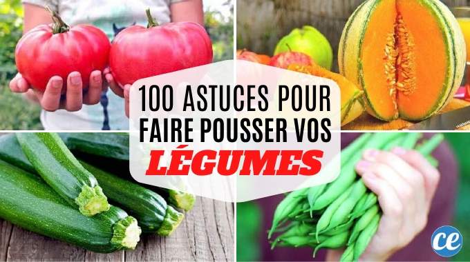 100 Astuces Potager Pour Faire Pousser Vos Légumes Facilement.