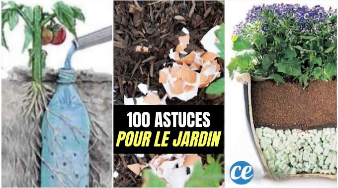 100 Astuces Pour le Jardin Qui Facilitent la Vie.