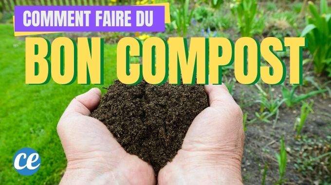 Comment Faire du Bon Compost ? Le Guide Facile Pour Débutants.