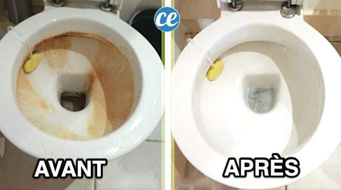 Voici Comment Détartrer les Parois et Rebords des WC Sans Effort.