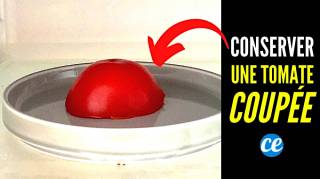 Comment Conserver une Tomate Coupée  L'Astuce Anti-Gaspi à Connaître