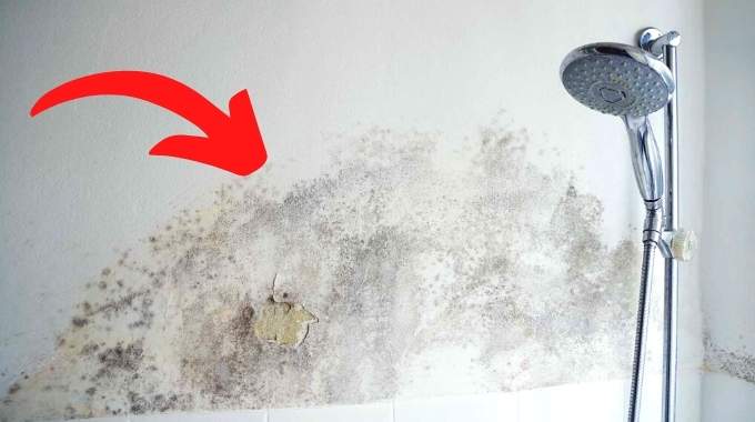 8 Astuces Contre l'Humidité Dans une Salle de Bain Sans Fenêtre.