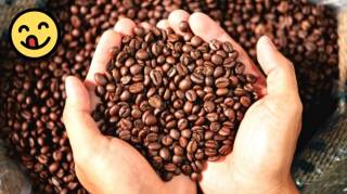 Comment Bien Conserver le Café en Grains (Pour Qu'il Garde Tout Son Arôme)