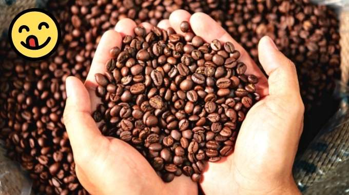 Comment conserver son café plus longtemps - En grains et moulu