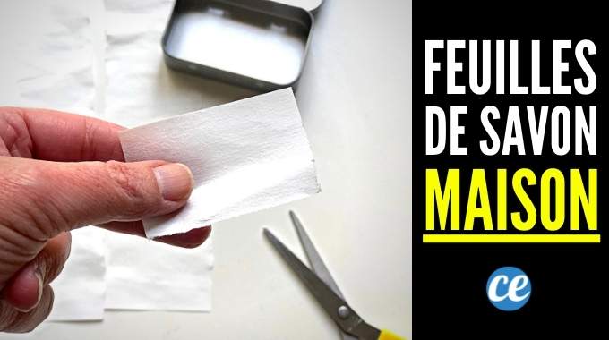 100 Feuilles De Savon Portable - Parfum Litchi - Faible Mousse - Pour Voyage, Camping - Boîte Avec Cordon