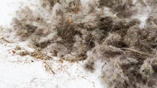 Mon astuce pour ne plus acheter de chiffons pour la maison