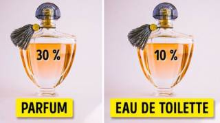 Quelle Est la Différence Entre l'Eau de Parfum et l'Eau de Toilette  Lequel Choisir 