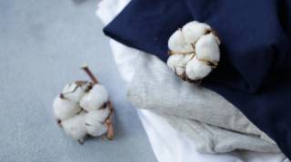 Conseil santé : choisir des vêtements en coton bio