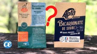 Quelle est La Différence Entre Bicarbonate de Soude et Percarbonate de Soude 
