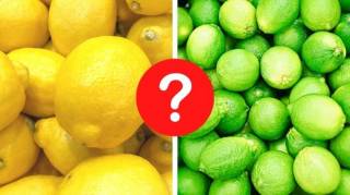 Différence entre un citron jaune et un citron vert