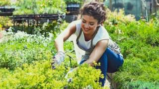 Comment le Jardinage peut Devenir un Jeu pour vos Enfants