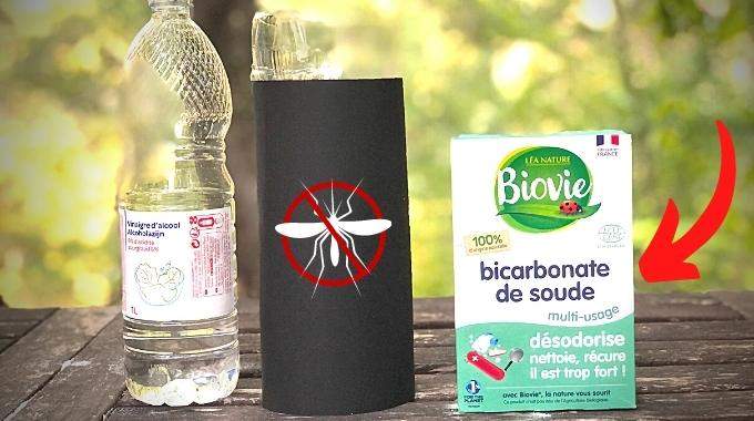 Comment Utiliser le Bicarbonate de Soude Contre les Moustiques.