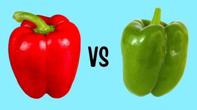 Quelle Différence Entre un Poivron Rouge, Vert et Jaune ?
