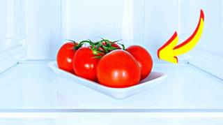 Pourquoi On ne Doit pas Mettre les Tomates au Frigo 