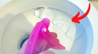 Mettez du Papier Toilette Imbibé de Vinaigre Blanc Dans les WC et Laissez Agir Toute la Nuit