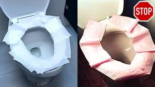 Voici Pourquoi Vous Ne Devriez JAMAIS Mettre du Papier Toilettes sur la Cuvette