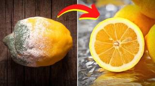 L'Astuce Pour Conserver Vos Citrons Frais Pendant 6 Mois (Et Éviter Qu'Ils Pourrissent)