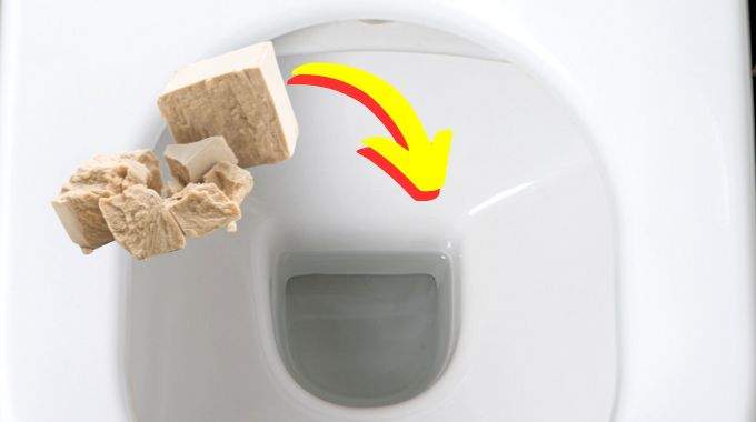 comment nettoyer les wc avec de la levure fraiche1