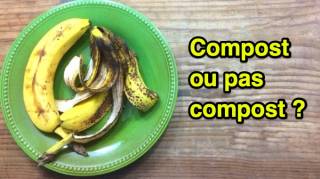 Est-Ce Que la Peau de Banane Va au Compost 