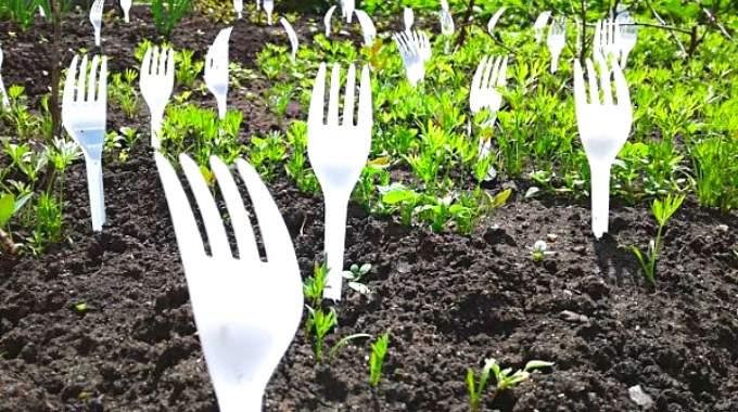 Pourquoi Faut-il Planter des Fourchettes en Plastique Dans le Jardin ?