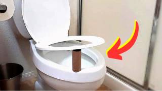 Pourquoi Faut-il Laisser le Rouleau de Papier Toilette Sous le Siège des WC
