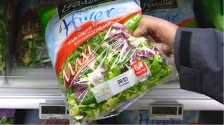 L'Astuce Pour Conserver la Salade en Sachet 2 Fois Plus Longtemps