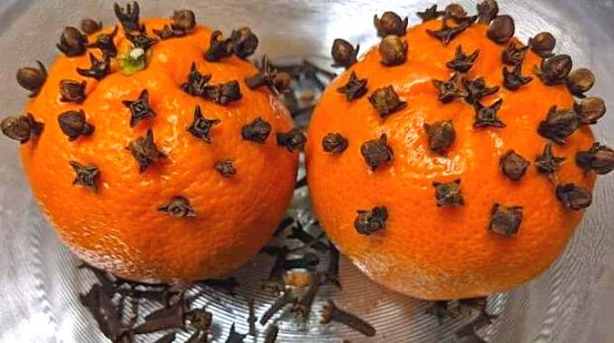 Voici Pourquoi il Faut Planter des Clous de Girofle dans une Orange.