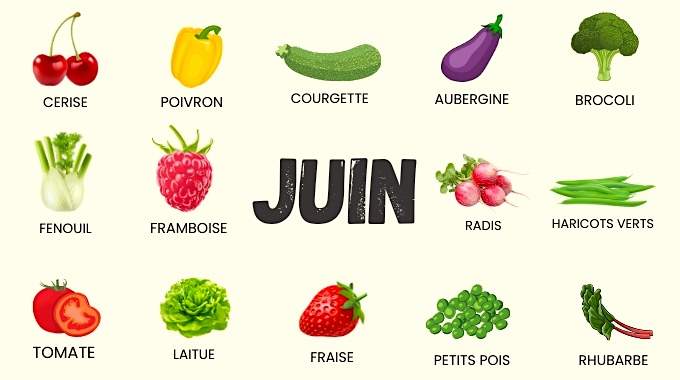 Quelles Sont les Fruits et Légumes du Mois de Juin ? La Liste de Saison.