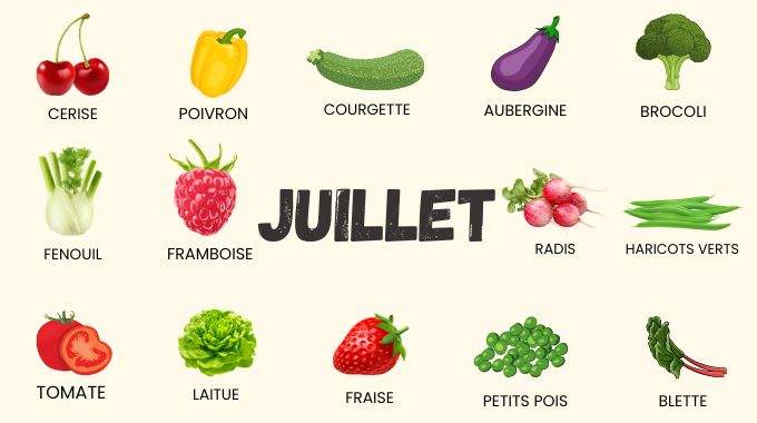 Le Calendrier des Fruits et Légumes du Mois de Juillet.