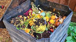 4 Astuces Efficaces pour un Compost Sans Aucun Moucherons